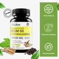KSM ASHWAGANDHA 66 - MAS ENERGIA Y SUEÑO PROFUNDO